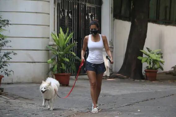 লকডাউনের কারণে এখন বাড়িতেই রয়েছেন মালাইকা। এরইমধ্যে বাড়ির বাইরে কিছুটা সময় তাঁকে পোষা কুকুর ক্যাসপারকে পায়চারি করতে দেখা গেল।