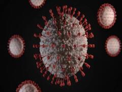 WB COVID-19 Updates: রাজ্যে নতুন করে করোনা আক্রান্ত ১৮ হাজারেরও বেশি, মৃত ১১৭