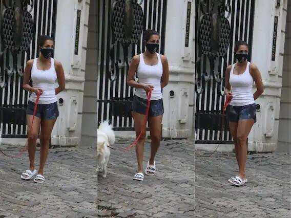 বলিউড তারকা মালাইকা অরোরার অনুরাগীরা তাঁর ছবির জন্য সাগ্রহে অপেক্ষায় থাকেন। মালাইকা তাঁর অসাধারণ ফিটনেস ও নৃত্যশৈলীর জন্য পরিচিত।