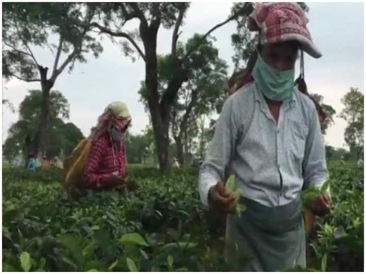 North East can become Corona's new hot spot पूर्वोत्तर के राज्य बन सकते हैं कोरोना के नए हॉटस्पॉट, जानें क्यों उभर रही है ये आशंका