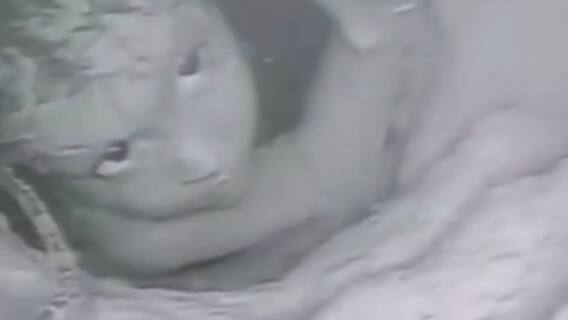 રાજસ્થાનમાં બોરવેલમાં ફસાયેલા ચાર વર્ષના બાળકનો કરાયો આબાદ બચાવ,કેટલા ફુટ ઊંડામાં થયો હતો ગરકાવ?,જુઓ વીડિયો