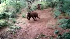 TOP 50 | सकाळच्या 50 महत्त्वाच्या बातम्यांचा वेगवान आढावा | सुपरफास्ट बातम्या | 07 मे 2021