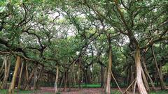 WB Corona Updates: রাজ্যে বাড়ছে সংক্রমণ, ১০ই মে থেকে শিবপুর বোটানিক্যাল গার্ডেন বন্ধের সিদ্ধান্ত