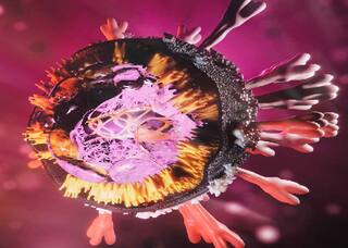 ગુજરાતમાં કોરોનાના દર્દીઓને થતો જીવલેણ મ્યુકોરમાઇકોસિસ રોગ શું છે ? આ રોગનો દર્દી કેમ બચતો નથી ?