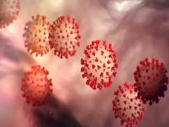 Covid-19 महज फेफड़े की बीमारी नहीं है, इससे खतरनाक तरीके से खून का थक्का भी जम सकता है: विशेषज्ञ