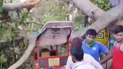 ৭টায় বাংলা (২): জেলায় জেলায় প্রবল ঝড়-বৃষ্টি, মালদায় বাজ পড়ে মৃত ২