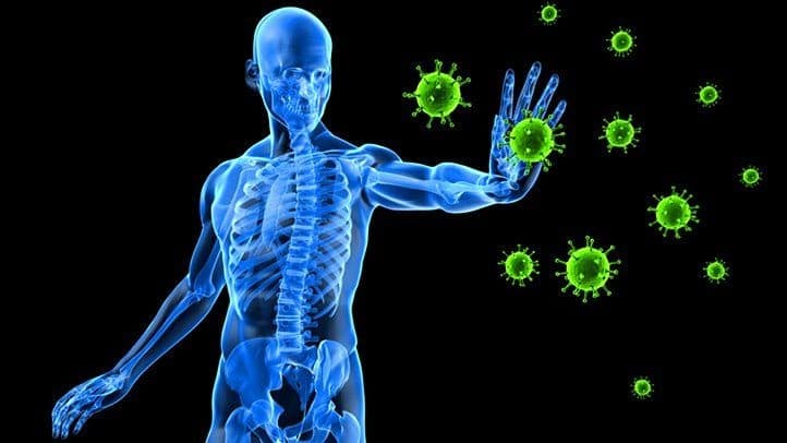 what is immune system and its how work ઇમ્યૂન સિસ્ટમ શું છે? કેવી રીતે કરે છે કામ, વધતી ઉંમરે કેવી રીતે રાખી શકાય સક્રિય, જાણો