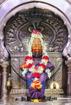 Varuthini Ekadashi : सुंदर ते ध्यान उभे विटेवरी, वरुथिनी एकादशीनिमित्त विठुरायाचं मोहक रुप