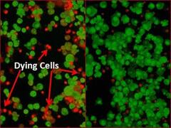 DRDO की एंटी-कोविड दवा के बारे में जानें सब कुछ, कैसे वायरस के खिलाफ करती है काम