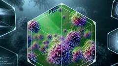 कोरोनामुक्त रुग्णांमध्ये 'म्युकोरमायकोसिस', हा आजार नेमका काय आहे? याची लक्षणं काय आहेत?