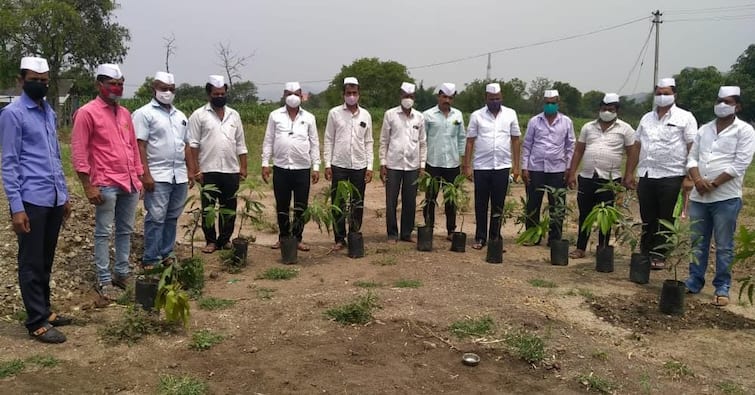 patient death due to insufficient oxygen supply, distribution of saplings by families in mourning पुरेसं ऑक्सिजन न मिळाल्याने कोरोनाबाधित रुग्णाचा मृत्यू, तेराव्याला कुटुंबियांकडून रोपांचे वाटप