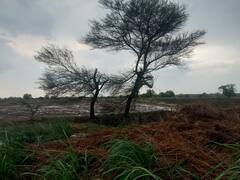 लातूर जिल्ह्याला सलग तिसऱ्या दिवशी अवकाळी पावसाचा तडाखा