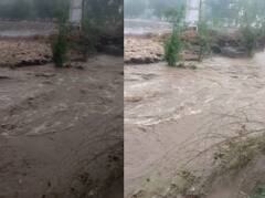 Maharashtra Rain PHOTO: राज्यात अनेक ठिकाणी पावसाचा तडाखा, शेतीचं नुकसान झाल्यानं शेतकरी हवालदिल