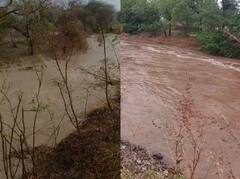 Maharashtra Rain PHOTO: राज्यात अनेक ठिकाणी पावसाचा तडाखा, शेतीचं नुकसान झाल्यानं शेतकरी हवालदिल