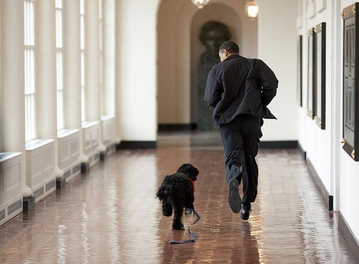 Barack Obama pen down an emotional obituary for his pet dog Bo Barack Obama on Instagram | உயிர் நண்பனை பறிகொடுத்த ஒபாமா.. இன்ஸ்டாகிராமில் உருக்கம்..