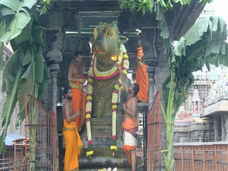 திருவண்ணாமலையில் சித்திரை மாத அமாவாசை பிரதோஷம்; பக்தர்கள் இன்றி எளிமையாக நடந்தது