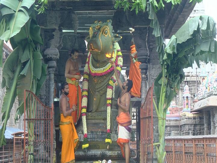 Thiruvannamali Amavasai Pradosh  It simply happened திருவண்ணாமலையில் சித்திரை மாத அமாவாசை பிரதோஷம்; பக்தர்கள் இன்றி எளிமையாக நடந்தது