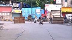 TOP 50 : महत्त्वाच्या 50 बातम्यांचा वेगवान आढावा :सायंकाळच्या बातम्यांचा आढावा 10 मे 2021 :ABP Majha