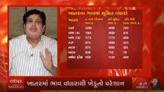 ખાતરોમાં ભાવવધારો સરકારે નથી કર્યો પણ કંપનીઓએ કર્યો છે.........ખેડૂતો નચિંત રહે, મને મારી સરકાર પર પૂરો વિશ્વાસ છે.......
