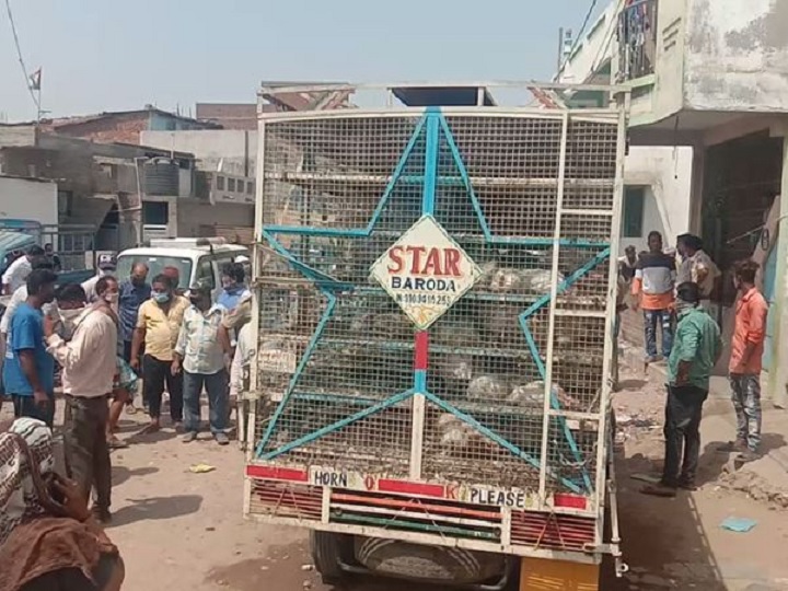 Vadodara : મરઘા ભરીને જતી પીકઅપ વાનના ટાયર નીચે આવી જતા 1.5 વર્ષના બાળકનું મોત, ઘટના સીસીટીવીમાં કેદ