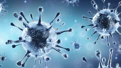 Uttar Pradesh से राहत देने वाली खबर, गिर रहा है कोरोना का ग्राफ | News @ 4