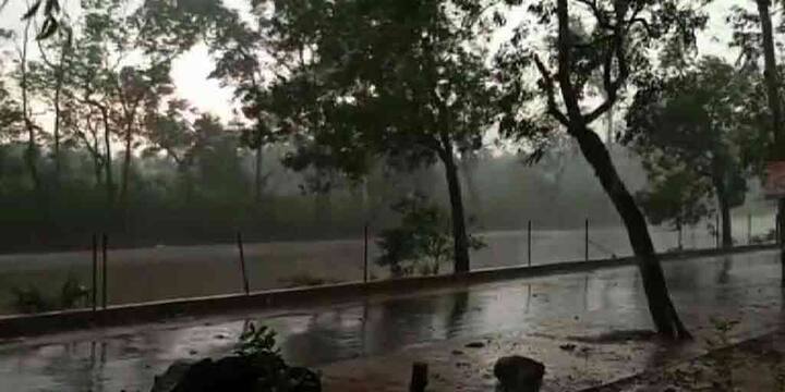 Rain in many parts of Rajasthan maximum temperature down राजस्थान के कई हिस्सों में बारिश, अधिकतम तापमान में गिरावट