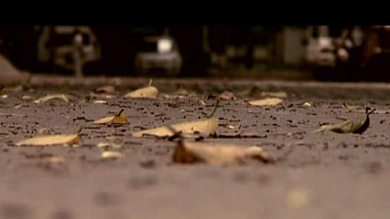 Ananda Sakal IV: সকাল থেকে আকাশের মুখভার, কলকাতা-সহ শহরতলিতে বৃষ্টির সঙ্গে ঝোড়ো হাওয়ার পূর্বাভাস