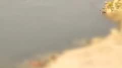 Ghazipur : गंगा घाट पर तैरती लाशों के अंबार का सच | Ground Report