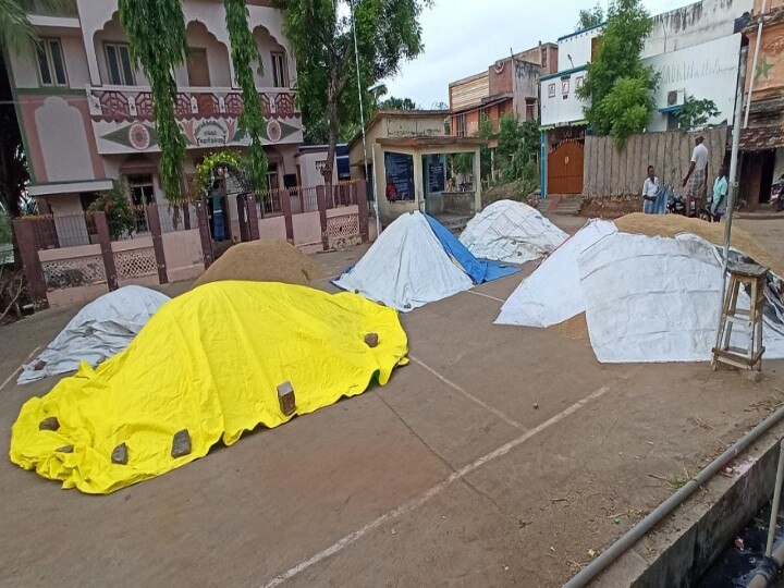 Summer Rains: பாடுபட்ட நெல்லு மடிஞ்சு போச்சு... கோடை மழை குலையை அறுத்துடுச்சே! கதறும் தென் மாவட்டம்