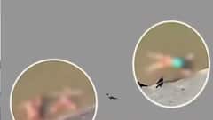 गंगा के तट पर खौफ का तांडव , लाशों को लगाया ठिकाने या डर कर की तौबा | Baat To Chubhegi