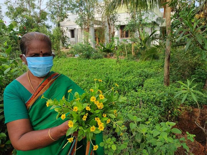 Retired teacher growing herbs ”நம்மாழ்வாரிடம் கற்ற பாடம்..” - மூலிகைச் செடிகளுடன் வாழும் ஓய்வுபெற்ற ஆசிரியர்..