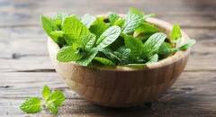 આ 5 ચીજોથી વધારો ઇમ્યુનિટી, ડાયટમાં કરો સામેલ થશે આ અદભૂત ફાયદા