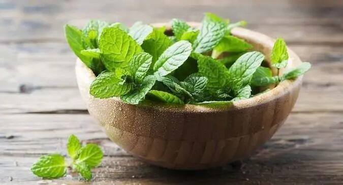 ફુદીના:-ફુદીનાના પાન વિટામિન  સીથી ભરપૂર છે. તેમાં ફોસ્ફરસ અને કેલ્શિયમ પણ હોય છે. તેનાથી આપણી ઇમ્યુનિટી મજબૂત થાય છે. ગરમીમાં આપ ફુદીનાનું સેવન કરી શકો છો. તે રોગપ્રતિકાર શક્તિ મજબૂત કરે છે.