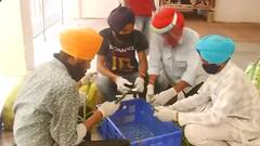 India Corona Crisis: Meet the 'messiahs' from Delhi & Bhubaneswar