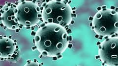 Coronavirus Update: India reports 3,48,421 new cases & 4,205 deaths