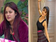 महज़ 1 साल में ही हो गया गजब का ट्रांसफॉर्मेशन, Shehnaz Gill से ले सकते हैं Weight Loss के जबरदस्त टिप्स