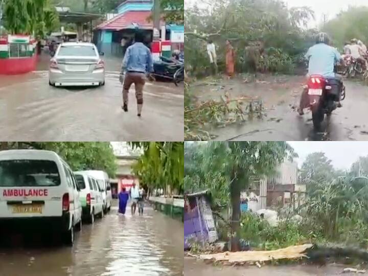 two people died due to thunderstorm in arrah and trees were falling down due to storm in begusarai ann बिहारः भोजपुर में ठनका गिरने से बुजुर्ग सहित दो लोगों की मौत, बेगूसराय में कई जगहों पर गिरे पेड़