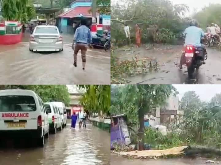 बिहारः भोजपुर में ठनका गिरने से बुजुर्ग सहित दो लोगों की मौत, बेगूसराय में कई जगहों पर गिरे पेड़