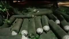 Bareilly में ऑक्सीजन सिलेंडर से भरी गाड़ी के साथ बड़ा हादसा