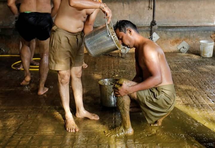 ਗੁਜਰਾਤ ਵਿੱਚ ਕੁੱਝ ਲੋਕ ਹਫ਼ਤੇ ਵਿੱਚ ਇੱਕ ਦਿਨ ਗਉਸ਼ਾਲਾ ਜਾਂਦੇ ਹਨ ਅਤੇ ਆਪਣੇ ਪੂਰੇ ਸਰੀਰ ਤੇ ਗੋਬਰ ਲਗਾਉਂਦੇ ਹਨ।ਉਨ੍ਹਾਂ ਦਾ ਮੰਨਣਾ ਹੈ ਕਿ ਗੋਬਰ ਅਤੇ ਗਾਂ ਦਾ ਪਿਸ਼ਾਬ ਇਮਊਨਿਟੀ ਨੂੰ ਬੂਸਟ ਕਰਦਾ ਹੈ ਅਤੇ ਕੋਰੋਨਾਵਾਇਰਸ ਨੂੰ ਠੀਕ ਕਰਦਾ ਹੈ।