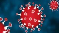 Coronavirus India Update: पिछले 24 घंटे में 4200 से ज्यादा लोगों की गई जान