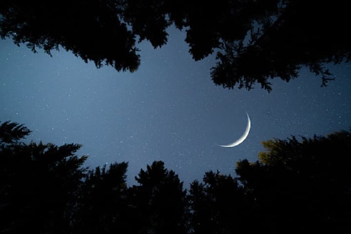 Eid-ul-Fitr 2021: Crescent Moon Not Sighted, Shahi Imam Declares Eid Celebrations In India Tomorrow Eid-ul-Fitr 2021: Crescent Moon Not Sighted, Shahi Imam Declares Eid Celebrations In India Tomorrow