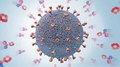 Coronavirus: 44 ਦੇਸ਼ਾਂ 'ਚ ਫੈਲਿਆ ਕੋਰੋਨਾ ਦਾ ਭਾਰਤੀ ਵੈਰੀਏਂਟ, WHO ਨੇ ਕੀਤੇ ਕਈ ਖੁਲਾਸੇ