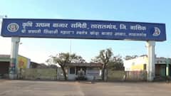 Nashik Lockdown : नाशकात लॉकडाऊन, सर्व बाजारसमित्या बंद ; कांदा उत्पादक शेतकरी संकटात