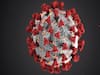 Corona Virus: देश में बढ़ता जा रहा है कोरोना ग्राफ, देखिए क्या कहते हैं ताजा आंकड़े ?