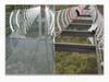 Chinese glass bridge: உடைந்த கண்ணாடி பாலம்.. 100 மீட்டர் உயரம்.. உயிர்பயத்தில் உறைந்த சுற்றுலா பயணி..