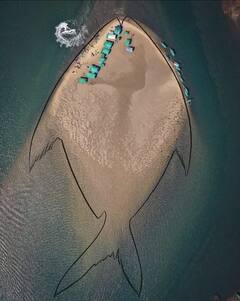 निळ्या समुद्रात माश्याच्या आकाराचं बेट, कोकणातील हे अनोख सुंदर ठिकाण तुम्ही पाहिलात का?