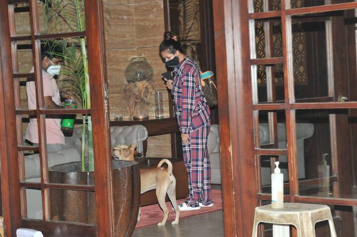 मलाइका अरोड़ा अपनी फिटनेस पर भी पूरा ध्यान देती हैं. यही वजह है कि उनकी फिटनेस को लेकर फैन्स अक्सर सवाल करते रहते हैं.