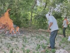 गोरखपुर के इस गांव में पसरा है मौत का सन्‍नाटा, 27 दिन में 10 लोगों की गई जान