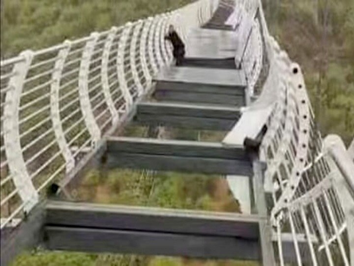 Chinese glass bridge: உடைந்த கண்ணாடி பாலம்.. 100 மீட்டர் உயரம்.. உயிர்பயத்தில் உறைந்த சுற்றுலா பயணி..